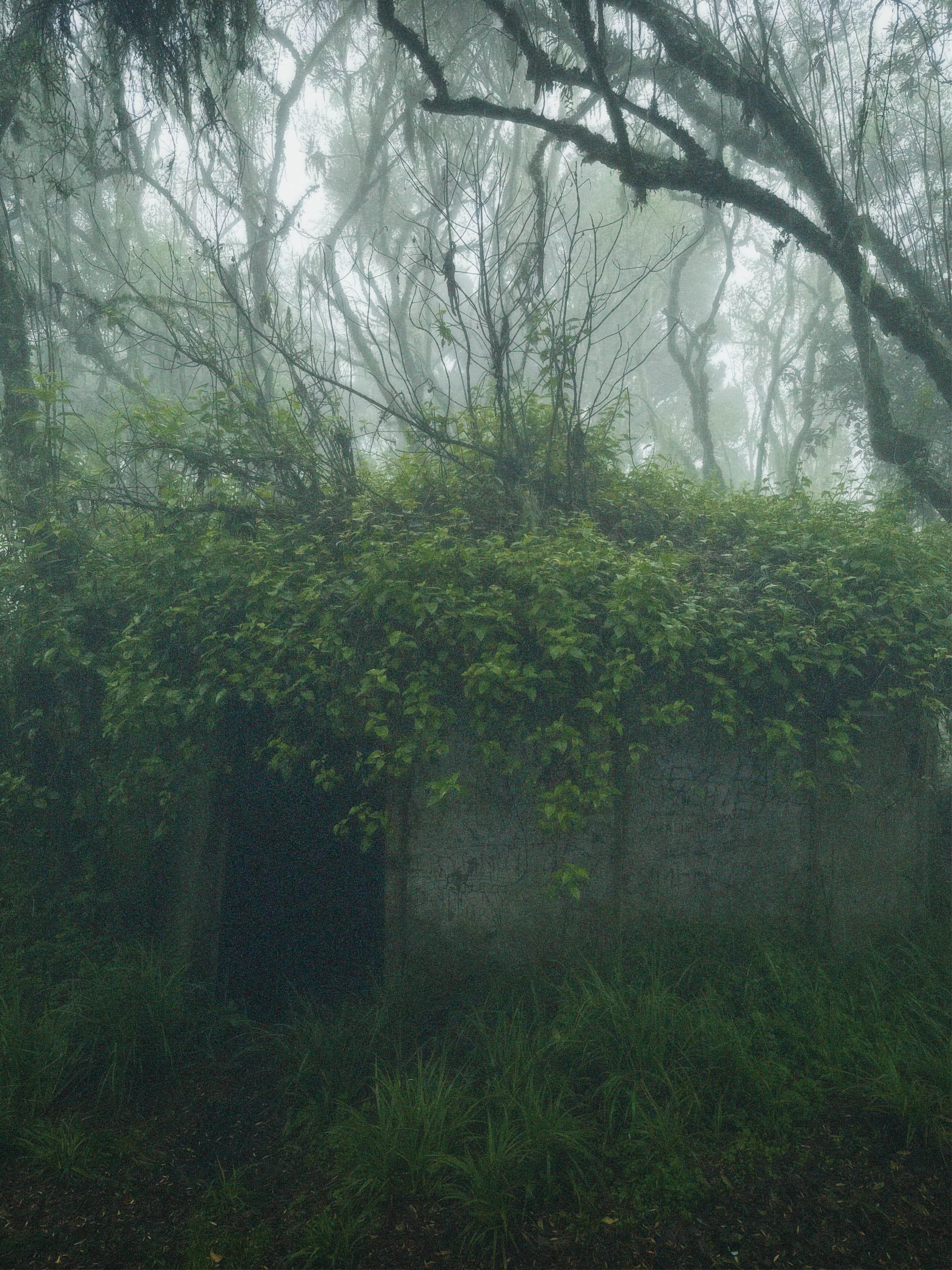 FAR 1995 outpost