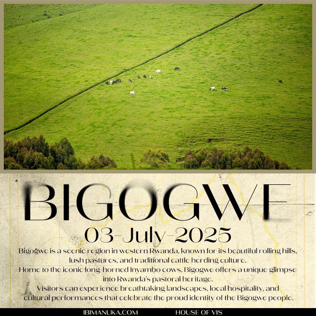 Bigogwe poster by @vissidebylevis