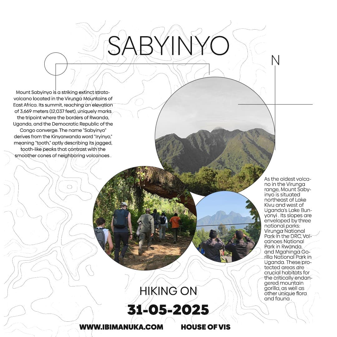 Sabyinyo poster by @vissidebylevis