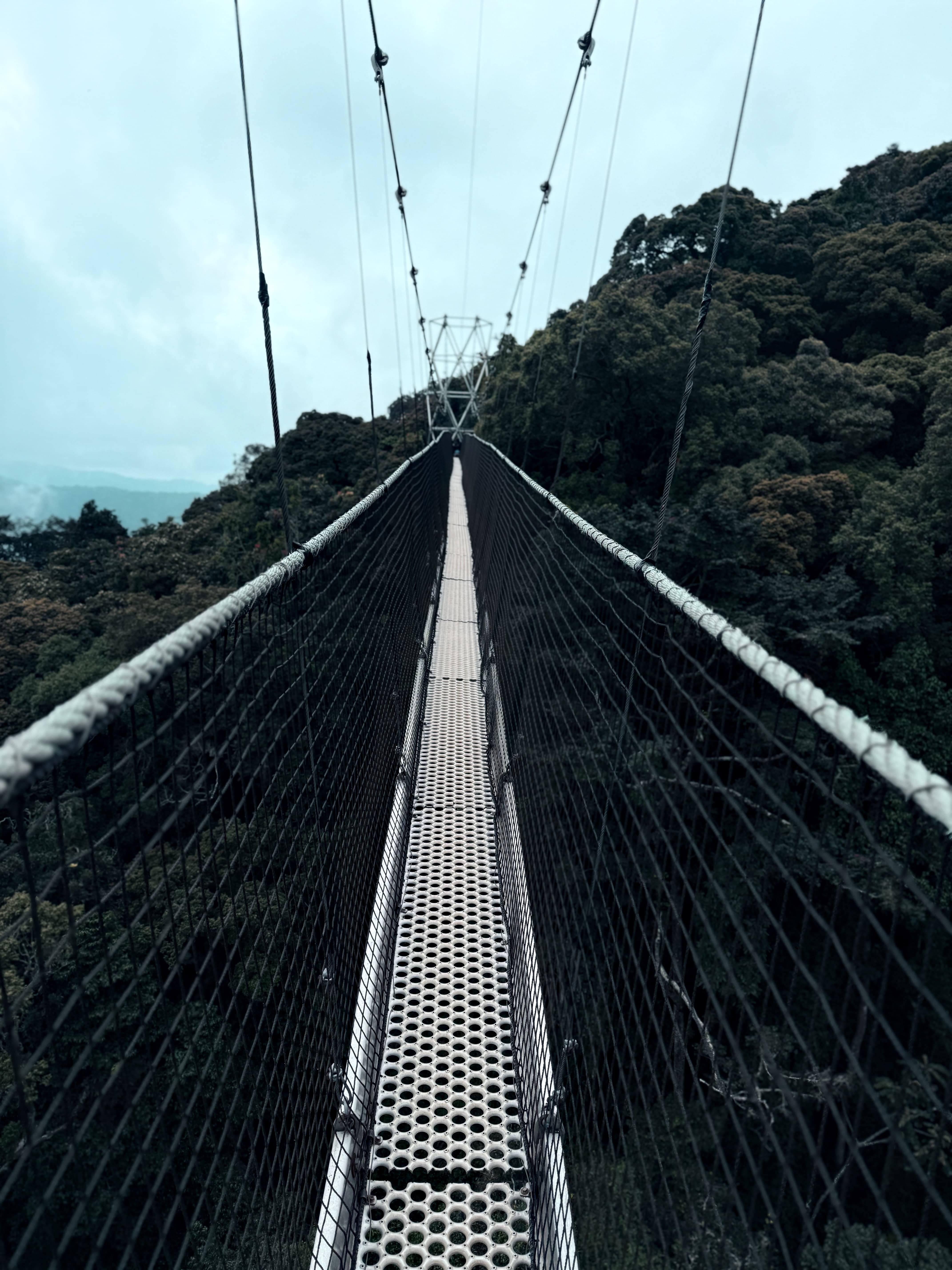 Canopy Walkway